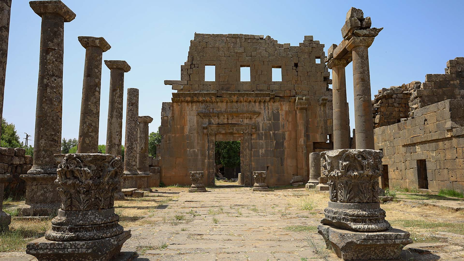 السويداء